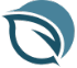 Saint John Capital logo